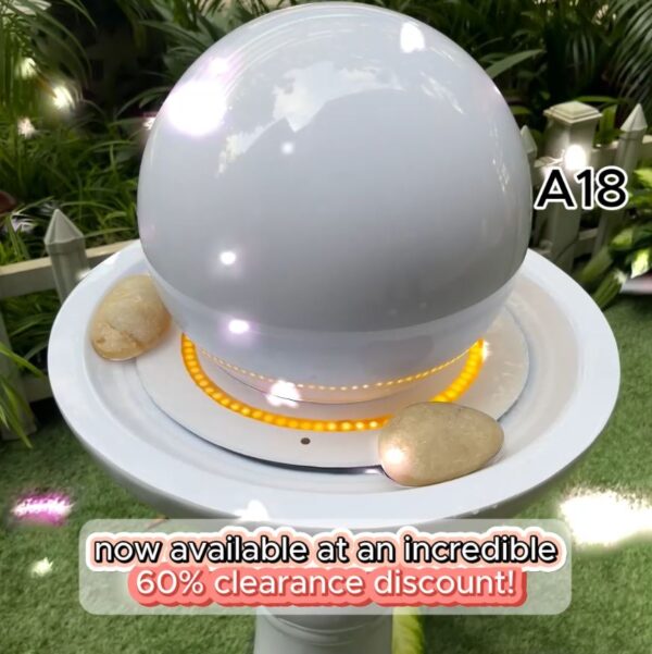 GROWING WEALTH Fountain