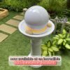 GROWING WEALTH Water Feature