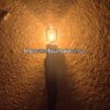 Narrow halogen lamp for water feature